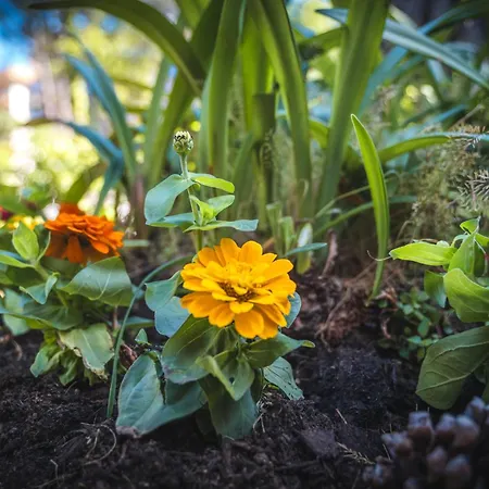 Domus Fuorimura Hébergement de vacances Sorrente